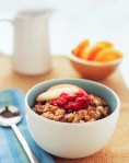 Bowl of Raisin Oatmeal with Apples and Cranberries