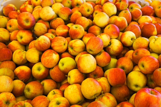 A crate of honeycrisp apples fresh