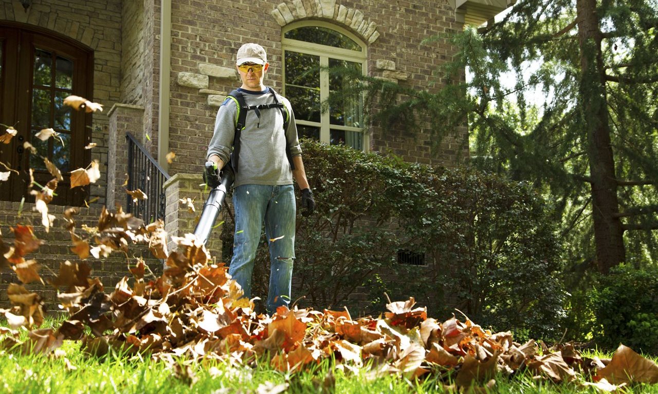 Fall Lawn Care