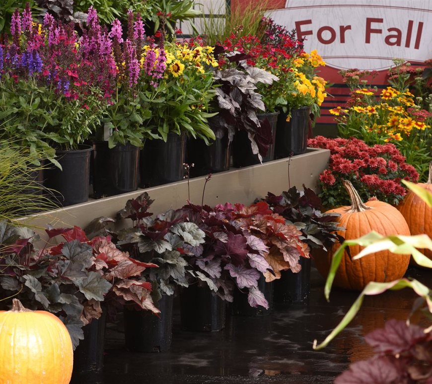 Fall-Gardening