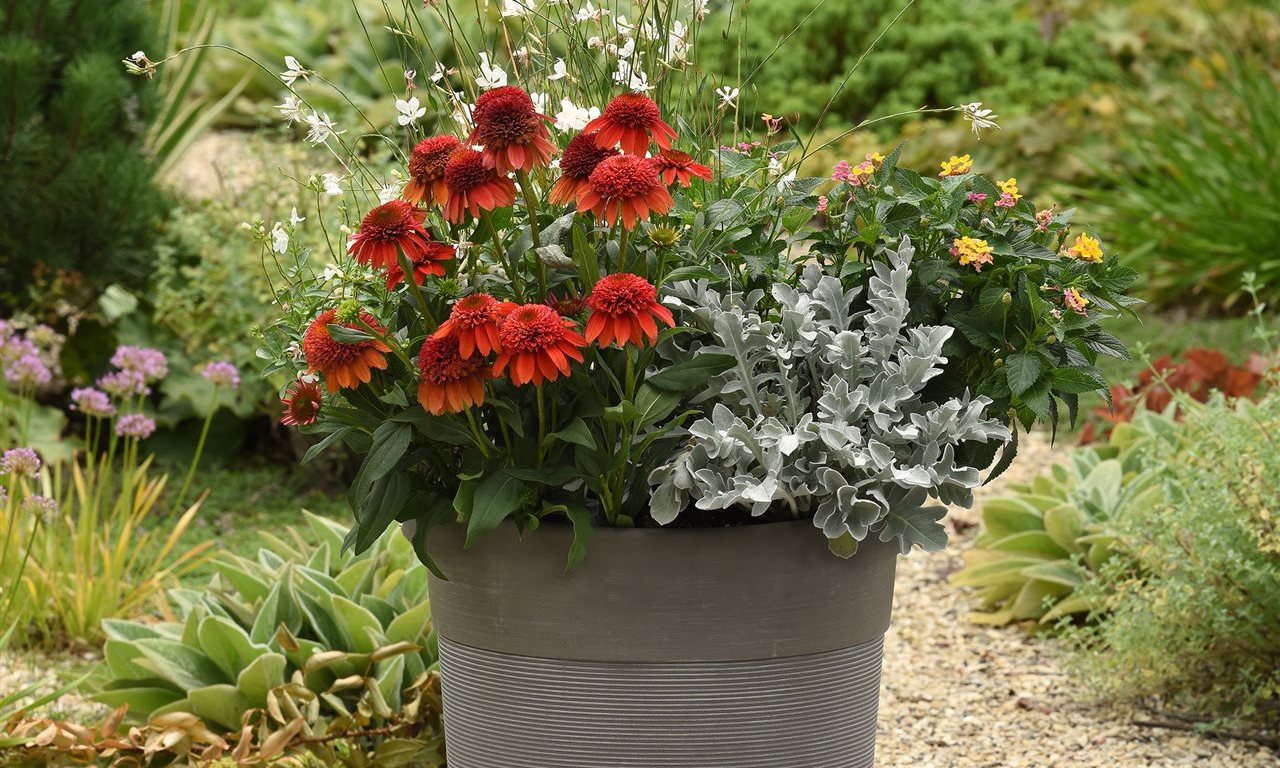 Fall-Winter-Gardening