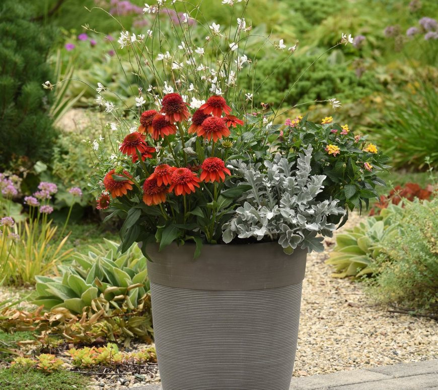 Fall-Winter-Gardening